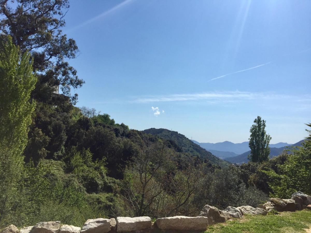 Casa Cristina Charmant Appartement Calme Entre Mer Et Montagne Santa-Lucia-di-Tallano 外观 照片